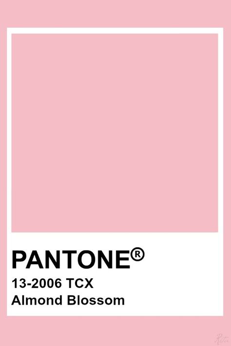 Almond Blossom Color Palette, Pantone Pastel Pink, Pink Pantone Palette, Pantone Pink Shades, Pink Pantone, Pink Colour Palette, Pantone Tcx, Pantone Color Chart, Pantone Swatches