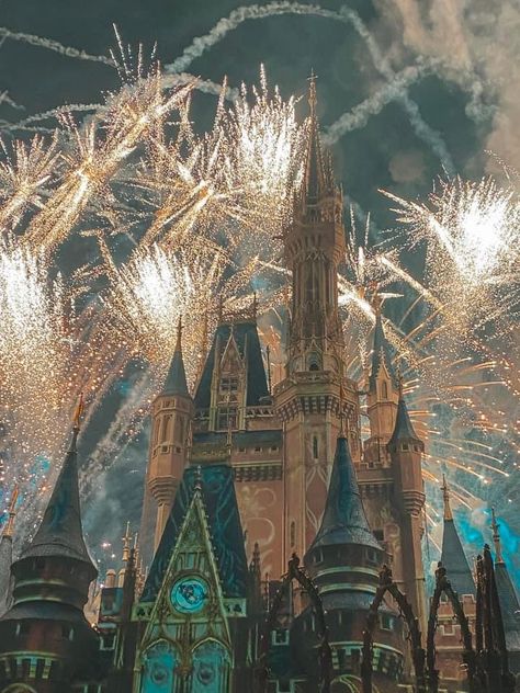 Happily Ever After Fireworks, Magic Kingdom Fireworks, Disney Lifestyle, Cute Disney Pictures, Disney World Florida, Disney Photography, Walt Disney World Vacations, Disneyland Trip, Disney Photos