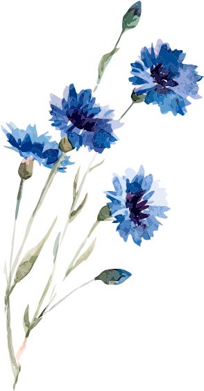 Blue Painting Watercolor, Cool Flowers Drawings, Flower Inspo Painting, Painted Flowers Watercolor, Blue Flowers Watercolor Painting, Paintings Of Blue Flowers, Beginner Watercolor Ideas Paint Flowers, Watercolour Blue Flowers, Painting Flowers Watercolor