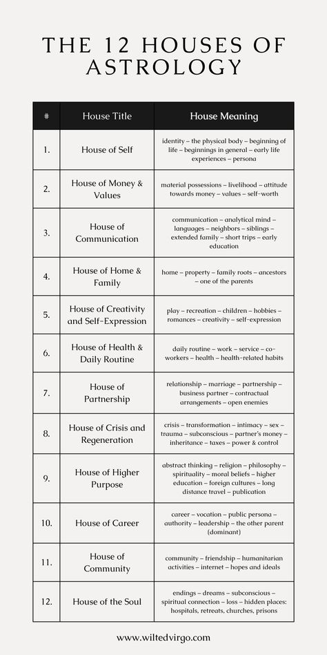 The 12 Houses of Astrology (Cheat Sheet) Astrology 12 Houses, Astrology Houses Charts, Astrological Houses Explained, The 12 Houses Of Astrology, House Meanings Astrology, 12 Houses Astrology Meaning, Stellium Astrology Meaning, Astrology Houses Meaning, Astrology Houses Explained