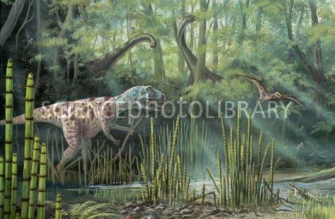 Jurassic life, artwork Prehistoric Plants, Jurassic Period, Life Artwork, Dinosaur Pictures, Paleo Art, Alien Planet, Science Photos, Dinosaur Art, Prehistoric Creatures