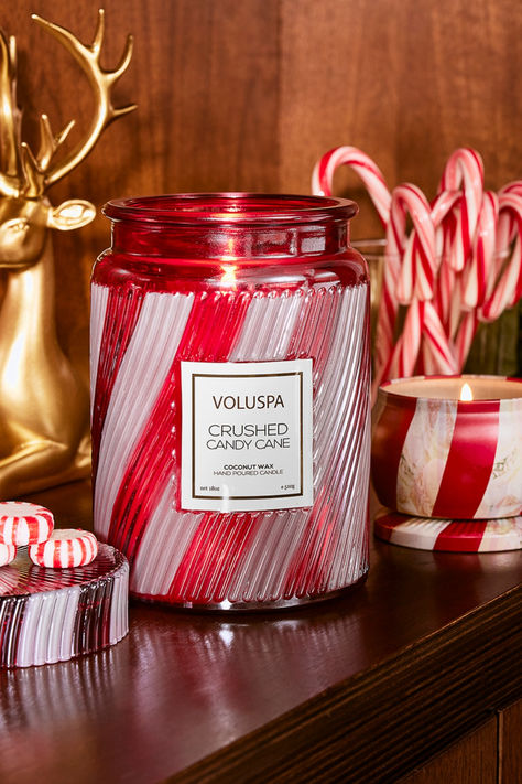 Notes of Crisp peppermint and warm buttery scent of Fresh Baked Cookies. Recipe For Love, Crushed Candy Cane, Candy Cane Candle, Voluspa Candles, Fresh Baked Cookies, Large Jar, Hand Poured Candle, Tin Candles, Freshly Baked