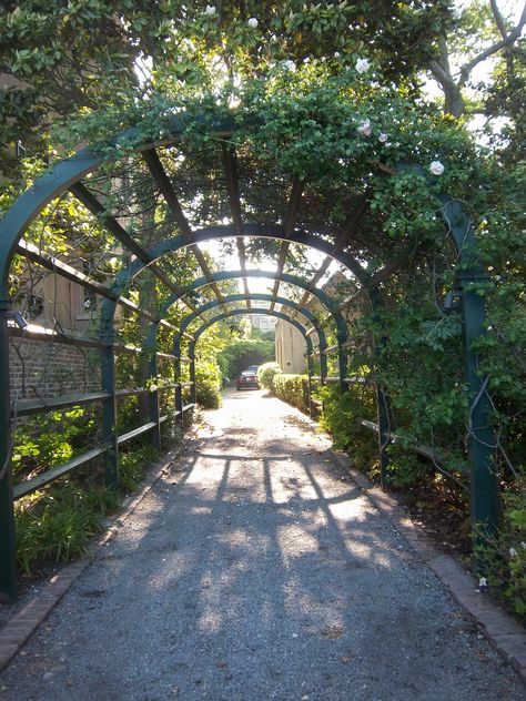 arbor over driveway- would need to be tall so UPS/FedEx could get through.  charleston, sc Trellis Over Driveway, Arbor Over Driveway, Driveway Arbor, Driveway Trellis, Driveway Arch, Entryway Arch, Garden Entryway, Garden Getaway, Fancy Fence