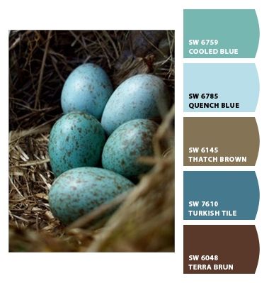 Digging this scheme fo rliving room/ Kitchen.  Assuming one room is open to the other. Oh yes and the entry way since it does lead into the living space. Robin egg blue - Paint colors from Chip It! by Sherwin-Williams Robins Egg Blue Color Scheme, Robin’s Egg Blue, Robin Egg Blue Bedroom Ideas, Robins Egg Kitchen, Robin Egg Blue Bathroom Ideas, Robin’s Egg Blue Paint, Robins Egg Blue Decor, Robin Egg Blue Living Room, Robin Egg Blue Bedroom