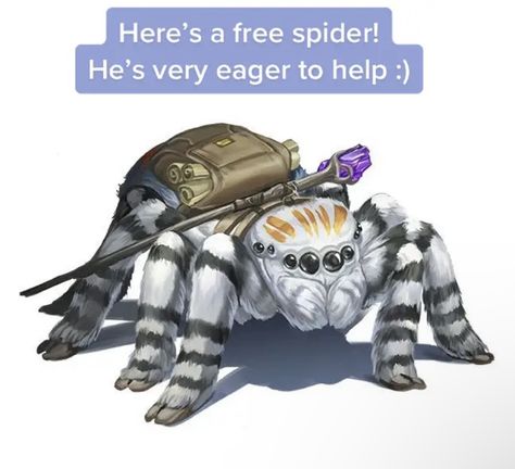 Spider Familiar Dnd, Companion Character Design, Fantasy Familiar Concept Art, Magic Pets Art, Giant Fantasy Spider, Dnd Drider Art, Magical Humanoid Creatures, Jumping Spider Character Design, Odd Dnd Characters