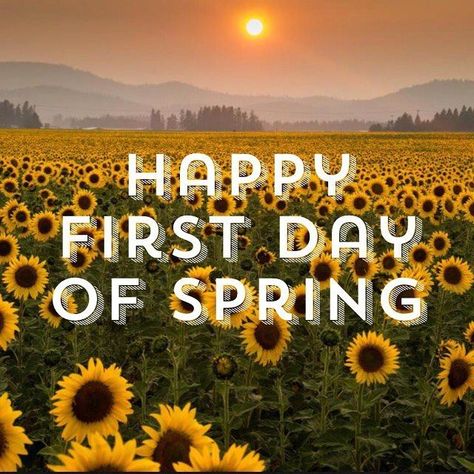 “Happy first day of spring” spring spring quotes spring countdown happy spring happy spring quotes first day of spring Springtime Quotes, Countdown Quotes, Family Day Quotes, Happy Spring Day, 1st Day Of Spring, Black Love Quotes, First Day Of Winter, Spring Words, It's Snowing