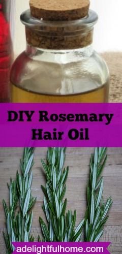 Rosemary is great for hair. Rosemary had been known to invigorate the scalp, stimulate hair growth, and soothe itchy skin. This makes it a great addition to hair and scalp treatments. One easy way to utilize the benefits of rosemary is to make rosemary oil. Rosemary oil is very simple to prepare. I’ll give you … Make Rosemary Oil, Hair Rosemary, Rosemary Hair Oil, Benefits Of Rosemary, Diy Hair Oil, Rosemary Hair, Rosemary Oil For Hair, Scalp Treatments, Coconut Oil Hair Mask