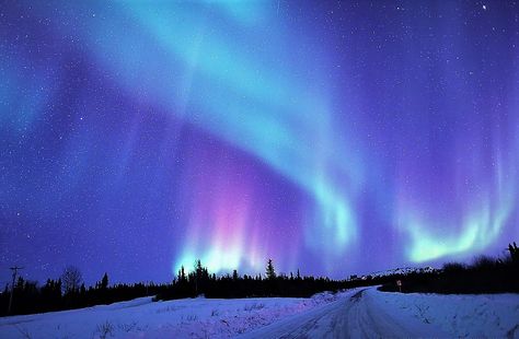 Aurora Borealis Photography, Northern Lights Horizontal, Aurelia Borealis, Aurora Phenomenon, Aurora Borealis Aesthetic, Winter Aurora Borealis, Aurora Borealis Wallpaper, Northern Lights Aesthetic, Northern Lights Background