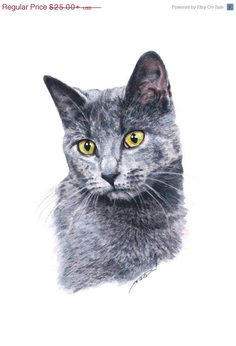 Cat Pet Portrait, Chien Shih Tzu, Painting Cats, Cat Portrait Painting, Animal Illustration Art, Cat With Blue Eyes, Russian Blue Cat, Grey Cat, Cats In Art