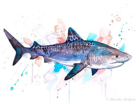 Tiger shark watercolor painting print by Slaveika Aladjova | Etsy Sea Turtle Watercolor Painting, Shark Watercolor, Slaveika Aladjova, Watercolor Horse Painting, Shark Painting, Watercolor Tiger, Shark Drawing, Animal Watercolor, Sea Life Art