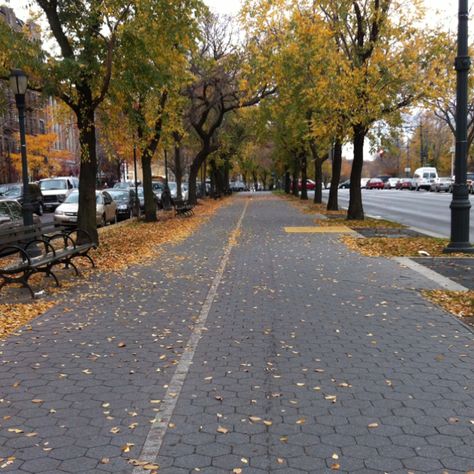 Eastern Parkway in The Fall Eastern Parkway Brooklyn, Crown Heights Brooklyn, Crown Heights, Brooklyn, Architecture