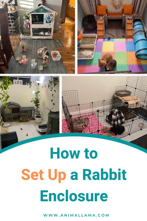 rabbit cage setup Rabbit Cage Setup, Indoor Bunny House, Bunny Litter Box, Indoor Rabbit Cage, Rabbit Enclosure, Pet Rabbit Care, Rabbit Litter, Rabbit Litter Box, Bunny Room