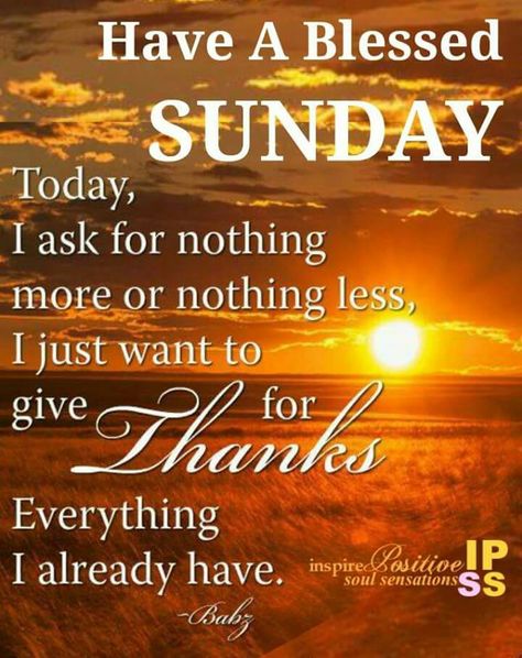 Sunday Sunday Morning Memes, Blessed Sunday Quotes, Blessed Sunday Morning, Sunday Prayer, Happy Sunday Morning, Sunday Morning Quotes, Good Sunday Morning, Sunday Greetings, Have A Blessed Sunday