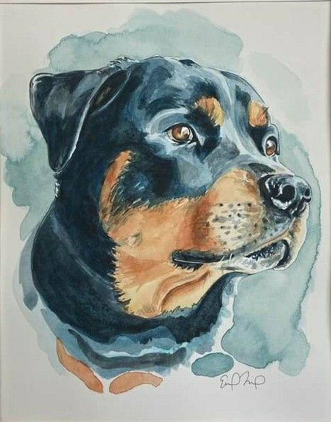 Rottweiler Watercolor Paintings, Watercolour Rottweiler, Watercolor Rottweiler, Birthday Art Ideas, Rottweiler Painting, Rottweiler Watercolor, Rottweiler Art, German Rottweiler, Watercolor Study