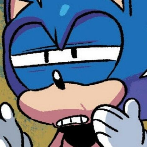 Sonic Idw, Sonic Face, Princesas Disney Anime, Japanese Video Games, Classic Sonic, Sonic Funny, Image Swag, Sonic Franchise, Blue Hedgehog