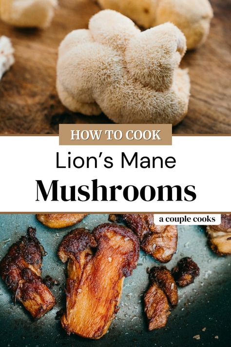 Lion Mushroom Recipes, Vegan Lions Mane Recipes, Lions Mane Mushroom Recipe Vegan, Lion Mane Mushroom, Lions Mane Mushroom Recipe, Mushroom Recipes Vegan, Gerd Recipes, Oyster Mushroom Recipe, Vegan Crab Cakes