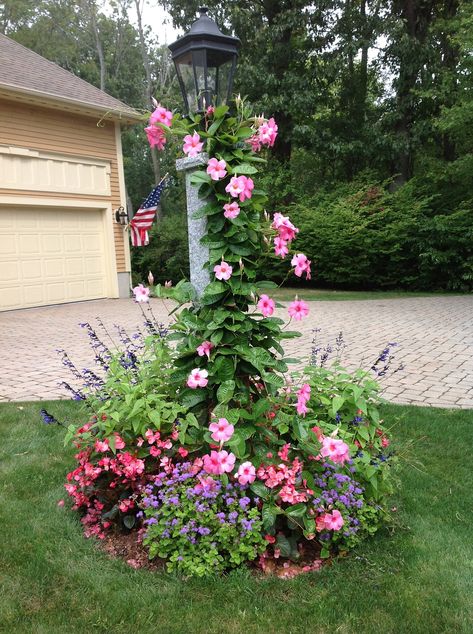 Front Lawn Lamp Post, Flower Bed Around Lamp Post, Light Pole Flower Bed, Outside Lamp Post Ideas, Lamp Post Flower Bed, Front Yard Lantern Post, Yard Lamp Post Landscaping, Landscaping Around A Lamp Post, Front Light Post Landscaping