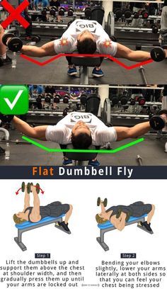 Flat Dumbbell Fly, Chest Flys, Chest Workout Routine, Dumbbell Fly, Chest Exercises, Bodybuilding Program, Best Chest Workout, Chest Fly, Training Workouts