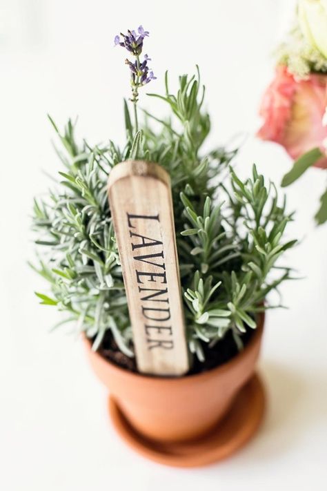 11 Eco-Friendly Plant Favors for a Garden Wedding -Beau-coup Blog Herbs Wedding, English Garden Wedding Inspiration, Herb Centerpieces, Plant Wedding Favors, English Garden Wedding, Romantic Garden Wedding, Garden Wedding Inspiration, Eco Friendly Wedding, Herb Pots