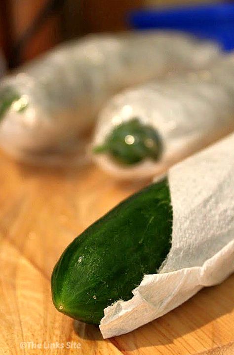 Refrigerator Food Storage, Storing Cucumbers, Store Cucumbers, How To Store Cucumbers, Amazing Food Hacks, Storing Fruit, Storing Vegetables, Fresh Cucumber, Fruit And Vegetable Storage