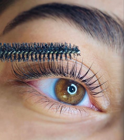 Elleebana Lash Lift, Eyelash Lift And Tint, Eyelash Extensions Salons, The Dubai Mall, Eyebrow Lift, Grow Lashes, Skin Care Business, Lash Lifting, Perfect Eyelashes