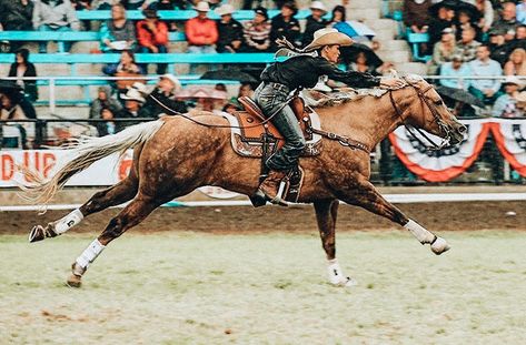 Nfr Barrel Racing Aesthetic, Western Future, Barrel Racing Aesthetic Wallpaper, Barrel Racing Horses Pictures, Horse Barrel Racing, Barrel Racing Aesthetic, Barrel Racing Photos, Horseback Riding Aesthetic Western, Barrel Racing Photography