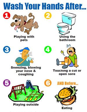 6 points for when to handwash Handwashing Poster, Hygiene Lessons, Hand Washing Poster, School Nurse Office, Food Hygiene, Proper Hygiene, School Health, Nurse Office, Hand Hygiene