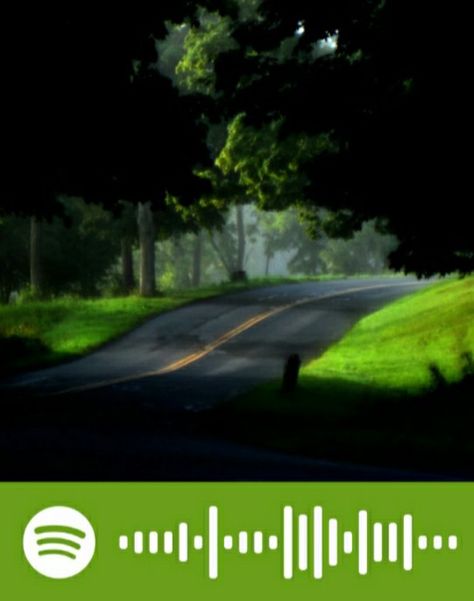 Treehouse Alex G, Alex G Poster, Spotify Code, Alex G, Spotify Lyrics, Aesthetic Indie, Song Artists, Room Posters, My Favorite Music