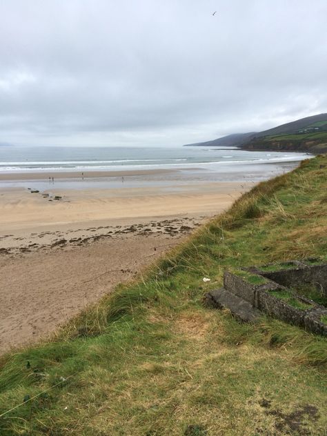 Inch Strand beach, Dingle Peninsula, Ireland. Dingle Peninsula Ireland, Ireland Beach, Dingle Peninsula, Irish Cottage, Ireland Landscape, Ireland Travel, Us Travel, Europe Travel, Scotland