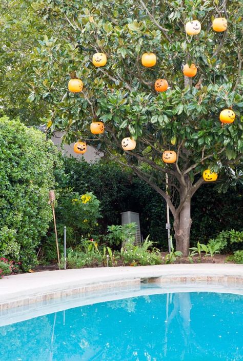 10 Totally Unique, Stylish & Steal-Worthy Halloween Decorating Ideas | Apartment Therapy Decoration Ideas Apartment, Basket Decoration Ideas, Halloween Tree Decorations, Halloween Decorating Ideas, Pumpkin Tree, Halloween Outside, Halloween Decor Ideas, Outdoor Trees, Halloween Lanterns