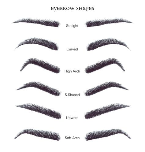 Eyebrow Shapes Chart, Eyebrows For Oval Face, Brow Shaping Tutorial, Eyebrow Template, Types Of Eyebrows, Sulam Alis, Bentuk Alis, Eyebrow Shapes, Eyebrow Hacks