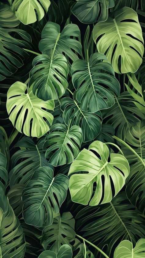 Green Plants Foliage iPhone Wallpaper HD Iphone Wallpaper Hd, Nature Iphone Wallpaper, Girl God, Iphone Wallpaper Images, Plant Wallpaper, Free Iphone Wallpaper, Wallpapers Images, Macbook Wallpaper, Wallpapers Iphone