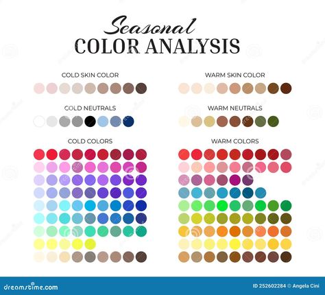 Seasonal Color Analysis Palette with Cold and Warm Color Swatches for Every Color, Neutrals, Skin Shades Vector Cold Neutral Color Palette, Color Analysis Palette, Cold Skin Tone, Warm And Cold Colours, Warm Palette, Seasonal Color Analysis, Every Color, Blue Makeup, Color Analysis