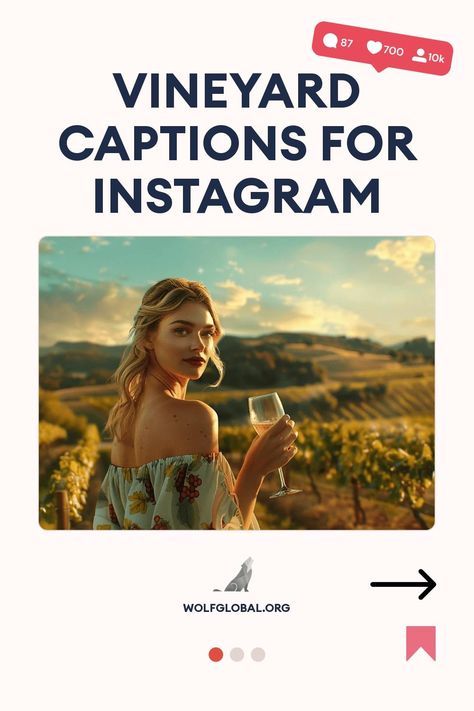 Promotional graphic for vineyard captions on Instagram with a woman holding a glass of wine.
A colorful checklist of wine-related experiences with emojis and a "Get 100+ More" button.
A smiling woman with a laptop surrounded by social media engagement icons and advertising text. Vineyard Captions Instagram, Wine Captions Instagram Sassy, Winery Quotes Instagram, Vineyard Quotes, Winery Quotes, Wine Captions Instagram, Wine Tasting Quote, Vineyard Outfit, Couple Instagram Captions