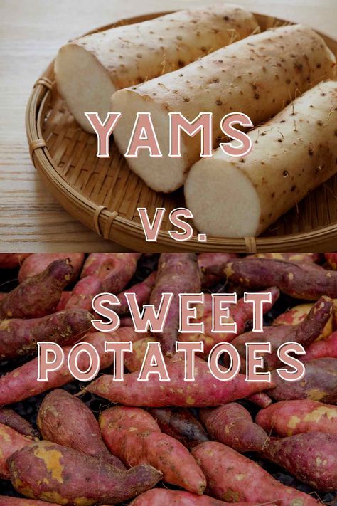 difference between yams and sweet potatoes Baked Yams Oven Healthy, Sweet Potato Yams Brown Sugar, Yams Vs Sweet Potatoes, Difference Between Yams And Sweet Potato, Allrecipes Candied Yams, Sweet Potato Varieties, Thanksgiving Casserole, Yam Or Sweet Potato, Yams Recipe