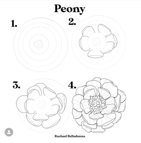 Peony Drawing Simple, How To Draw A Peony, Flower Petals Drawing, Floral Outlines, Flowers Step By Step, Peony Drawing, Person Art, Peony Petals, Drawing Instructions