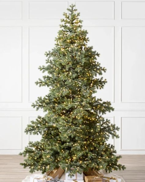 Search | Balsam Hill Best Artificial Christmas Trees, Prepare For Christmas, Realistic Christmas Trees, Realistic Artificial Christmas Trees, Norway Spruce, Christmas Tree Green, Fir Christmas Tree, Prelit Tree, Twinkly Lights