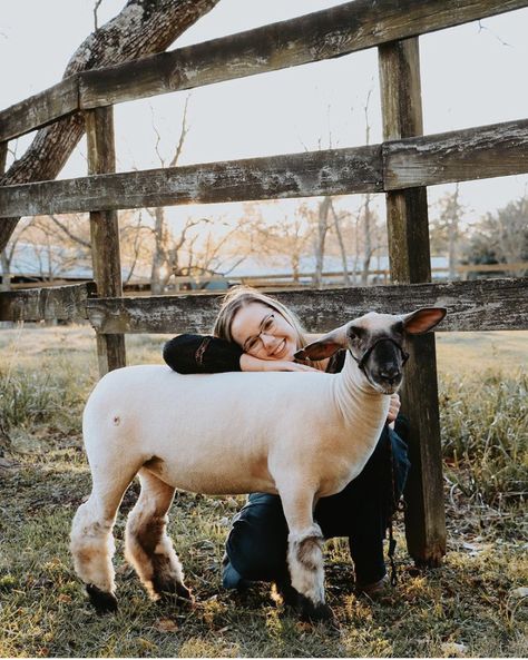 Sheep Senior Pictures, Senior Pictures With Show Lamb, Senior Pictures With Goats, Show Lamb Photoshoot, Livestock Senior Pictures Goats, Livestock Senior Pictures Sheep, Senior Livestock Pictures, Livestock Senior Pictures, Lamb Photoshoot