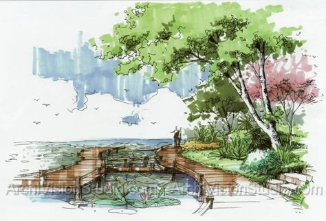 florida landscape design ideas: Interior Architecture Sketch, Landscape Architecture Graphics, Landscape Design Drawings, Landscape Architecture Drawing, Interior Design Renderings, Tree Sketches, Landscape Sketch, Architecture Graphics, Landscape Architecture Design