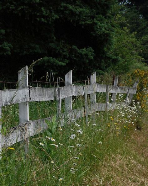 Fence Reference, Country Fencing, Rustic Fences, Wood Fences, Building A Pond, Country Fences, Rustic Fence, Fountains Backyard, Pond Landscaping