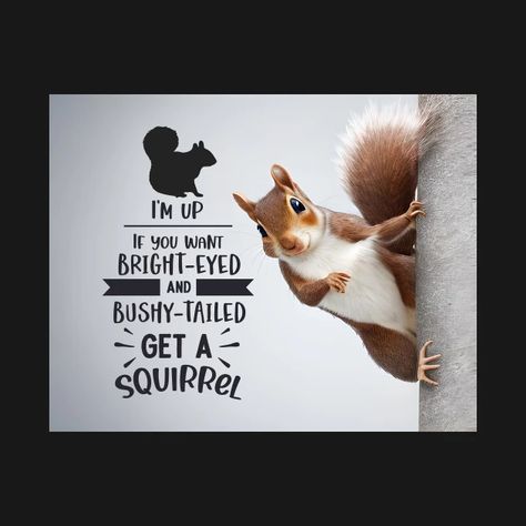 Funny Squirrel - If you want bright eyed and bushy tailed get a squirrel - Funny Quote - T-Shirt | TeePublic Squirrel Quotes, Squirrel Quote, Squirrel Funny, Cute Squirrel, A Squirrel, Funny Slogans, Funny Quote, Design Quotes, Kids Magnets