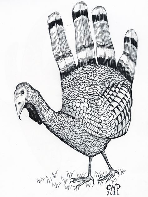 Scribbles In the Sand........... My Desert Diary: Sunsets and Hand ... Hand Turkey Drawing, Turkey Drawings, Hand Turkeys, Farm Animals Pictures, Thanksgiving Drawings, Hand Turkey, Turkey Drawing, Intro To Art, Art And Writing