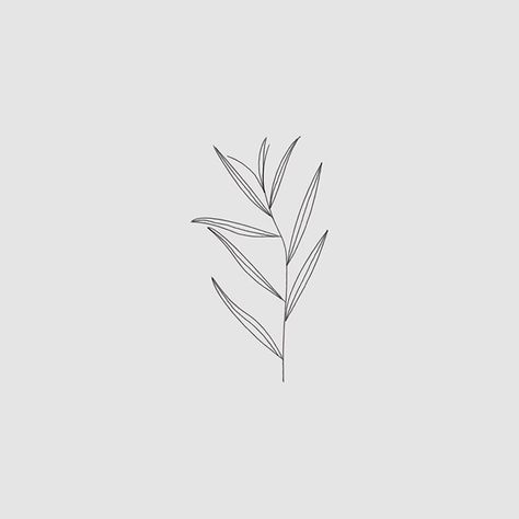 Willow Leaf Drawing, Willow Branch Tattoo, Willow Tattoo, Branch Tattoo, Branch Vector, Willow Leaf, Willow Branches, Leaf Drawing, Website Redesign