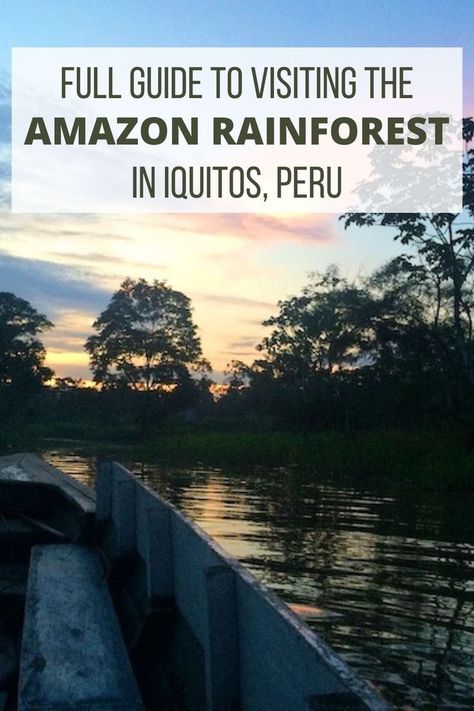 Visiting the Amazon Rainforest is a once-in-a-lifetime experience. We share our full guide to visiting the Amazon! Trip To Peru, Amazon Forest, The Amazon Rainforest, Lake Titicaca, River Trip, Amazon River, Sacred Valley, Peru Travel, Amazon Rainforest