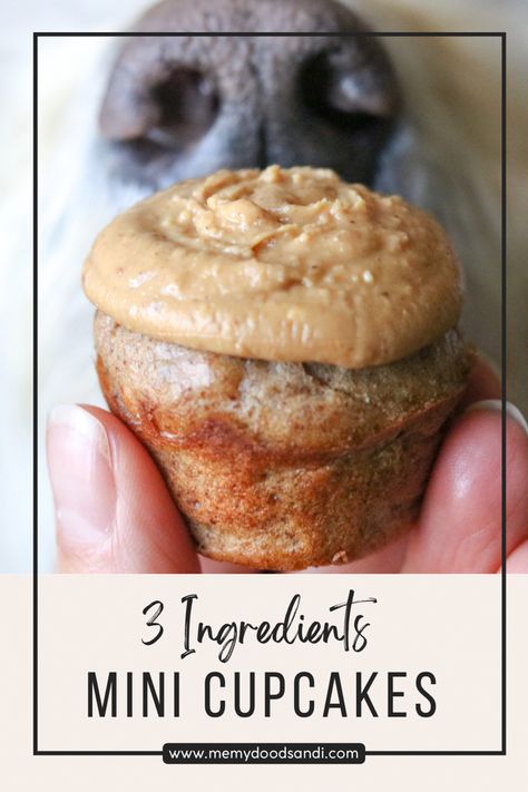 Dog Bday Cupcake, Grain Free Dog Cupcakes, One Dog Cupcake Recipe, Single Serving Dog Cupcake, Single Serving Dog Cupcake Recipe, Dog Friendly Muffins, Dog Treats Homemade Birthday, Dog Safe Cupcakes Recipes, Cupcake Recipe For Dogs