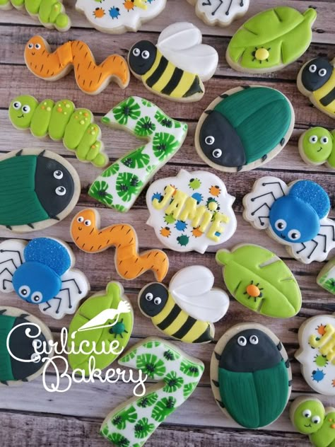 Ants, worms, spiders, caterpillars - creepy crawlies decorated sugar cookies Bug Birthday Cakes, Bug Cookies, Halloween Sugar Cookies Decorated, Bug Cake, Halloween Sugar Cookies, Sugar Cookie Royal Icing, Sugar Cookie Designs, Decorated Sugar Cookies, Cowboy Birthday