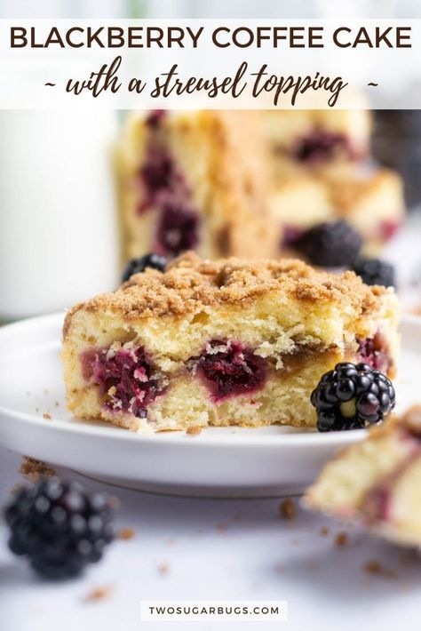 Blackberry Streusel, Blackberry Coffee Cake, Breakfast Cakes, Crumb Coffee Cakes, Streusel Cake, Light Dessert, Crumb Cake Recipe, Cinnamon Streusel, Sour Cream Coffee Cake