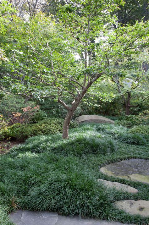 Designer Visit: A Garden Inspired by Japan, in Westchester County, New York - Gardenista Wallpaper Fruit, Japanese Gardens Design Ideas, Japanese Style Garden, Japanese Garden Landscape, Zen Garden Design, Landscape Architecture Drawing, Japanese Garden Design, Magic Garden, Modern Garden Design