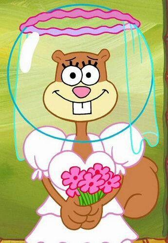 Sandy with a wedding outfit! Sandy From Spongebob, Sandy Spongebob, Spongebob Wallpapers, Spongebob And Sandy, Spongebob Theme, Spongebob Characters, Spongebob Faces, Wallpaper Sun, Spongebob Birthday Party