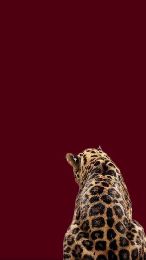 Burgundy Leopard Print Wallpaper, Rich Wallpaper Iphone Aesthetic, Red Leopard Print Wallpaper, Fangs Wallpaper, Iphone Wallpaper Aesthetic Red, Leopard Wallpaper Aesthetic, Velvet Aesthetic Wallpaper, Fox Phone Wallpaper, Leopard Wallpaper Iphone